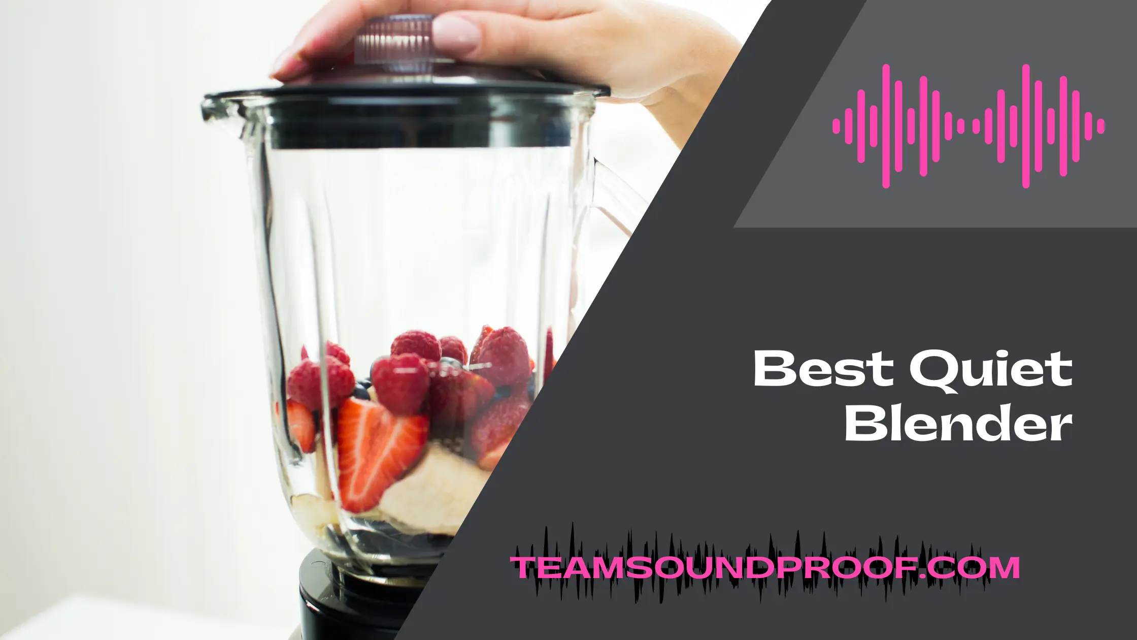 Unbiased Reviews of Top 6 Best Quiet Blender 2023